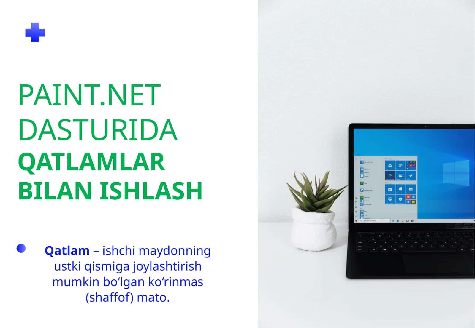 Paint.NET DASTURIDA 1