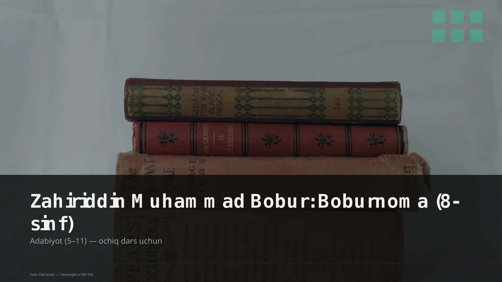 Boburnoma 1