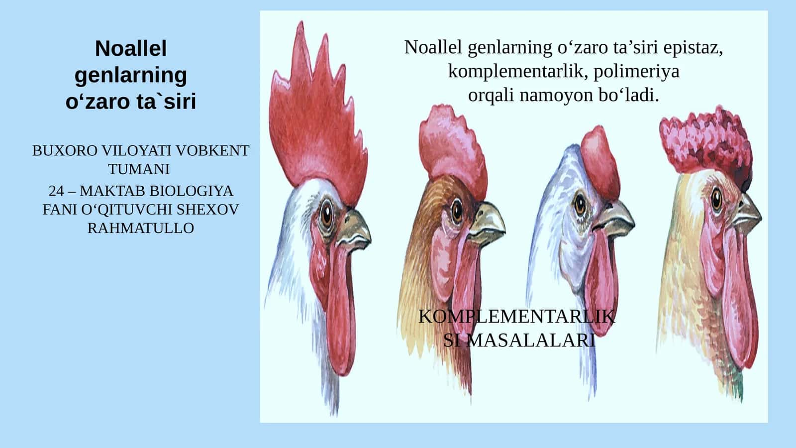 Noallel genlarning o‘zaro ta`siri 1