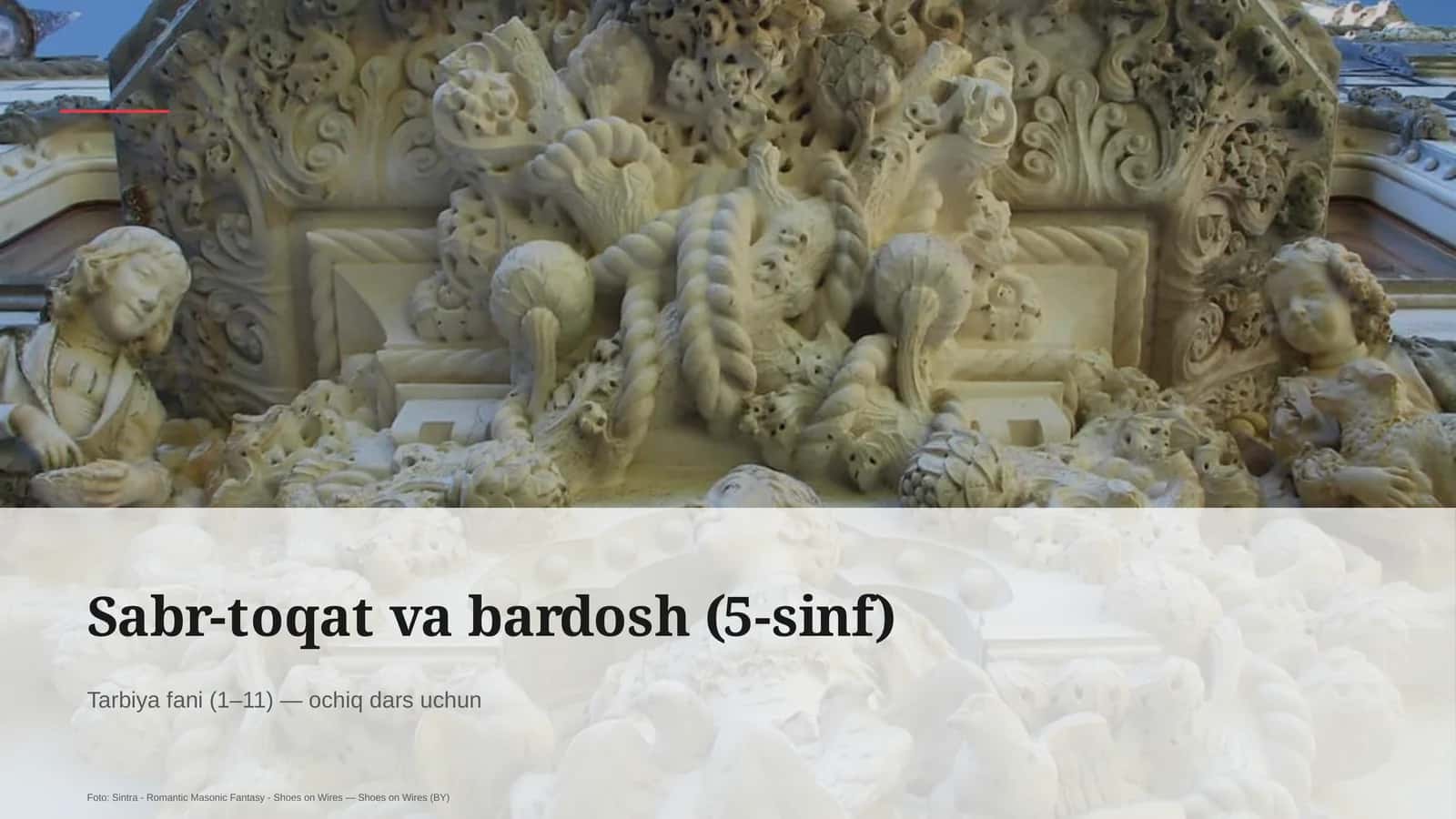 Sabr-toqat va bardosh (5-sinf) 1