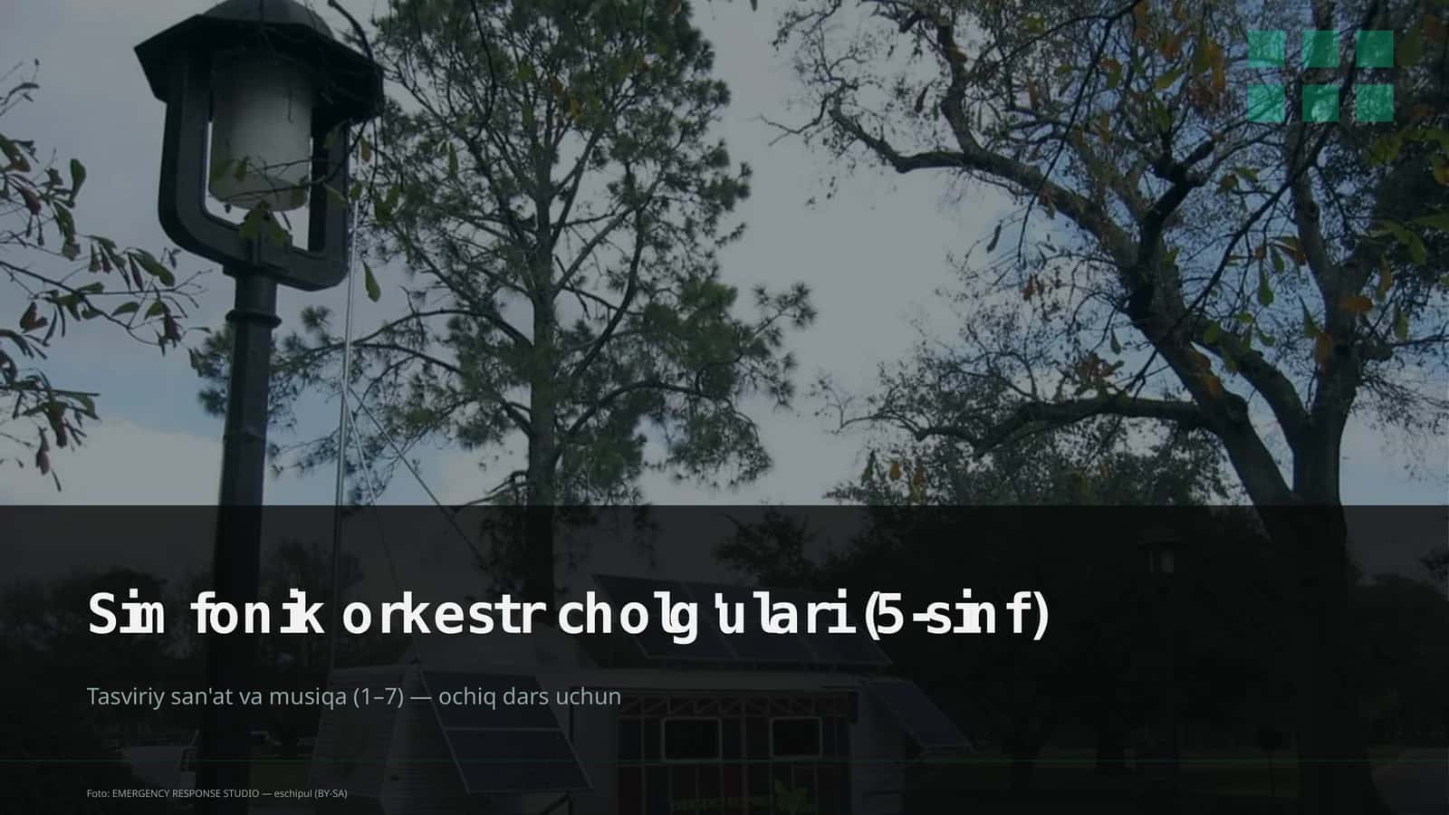 Simfonik orkestr cholg'ulari (5-sinf) 1