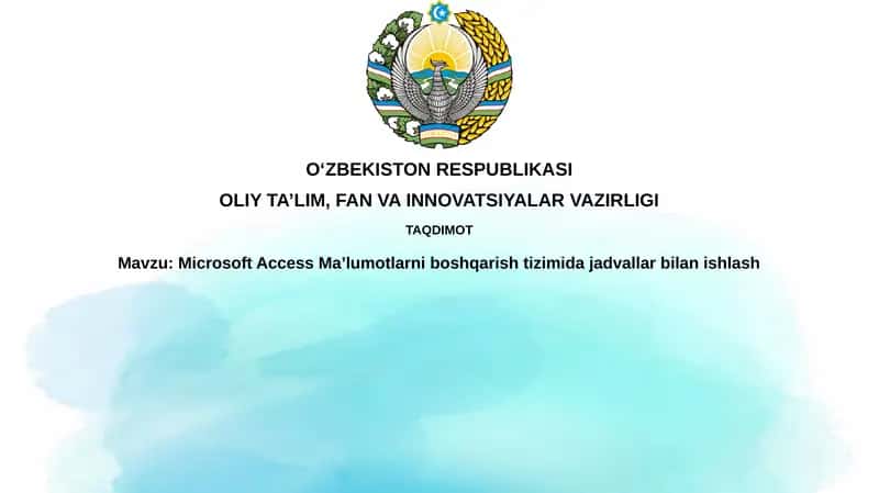 Microsoft Access 1