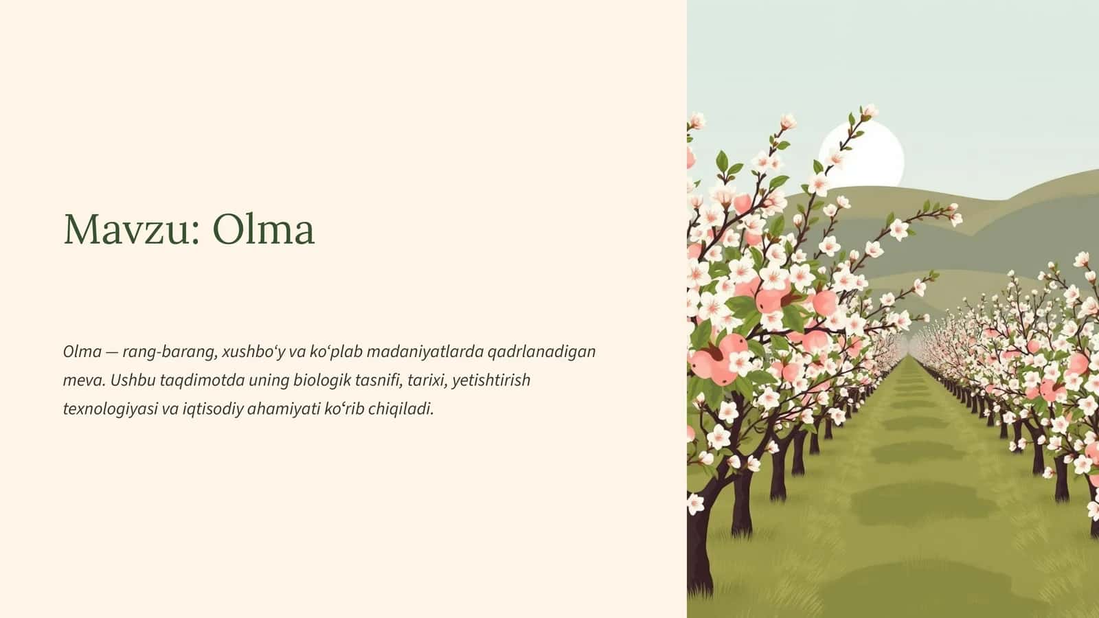Olma 1