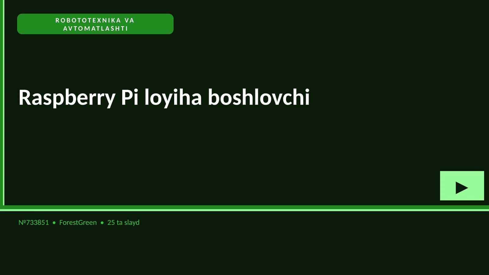 Raspberry Pi loyiha boshlovchi 1