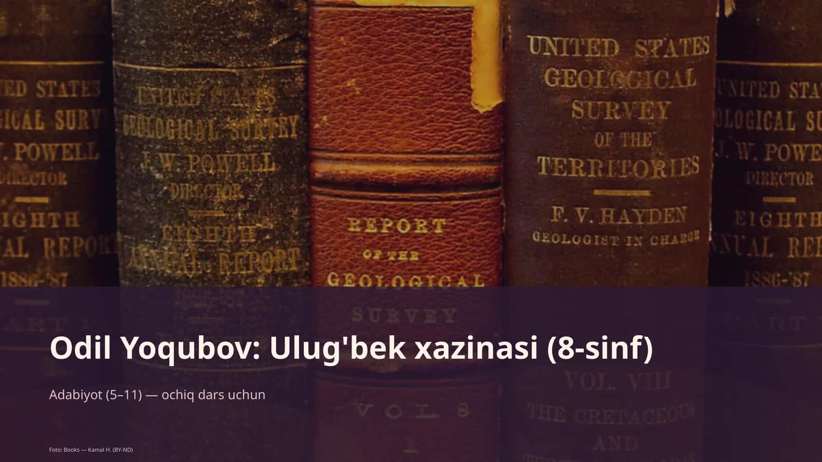 Ulug'bek xazinasi (8-sinf) 1