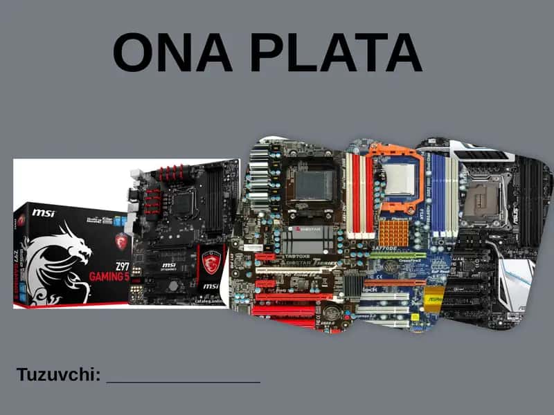 ONA PLATA 1