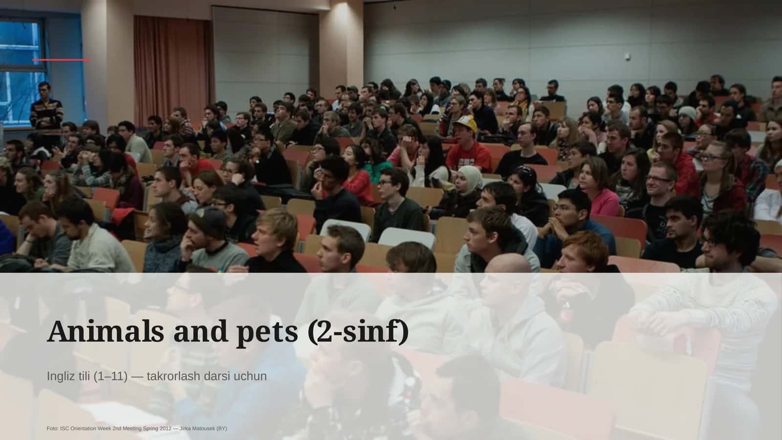 Animals and pets (2-sinf) 1