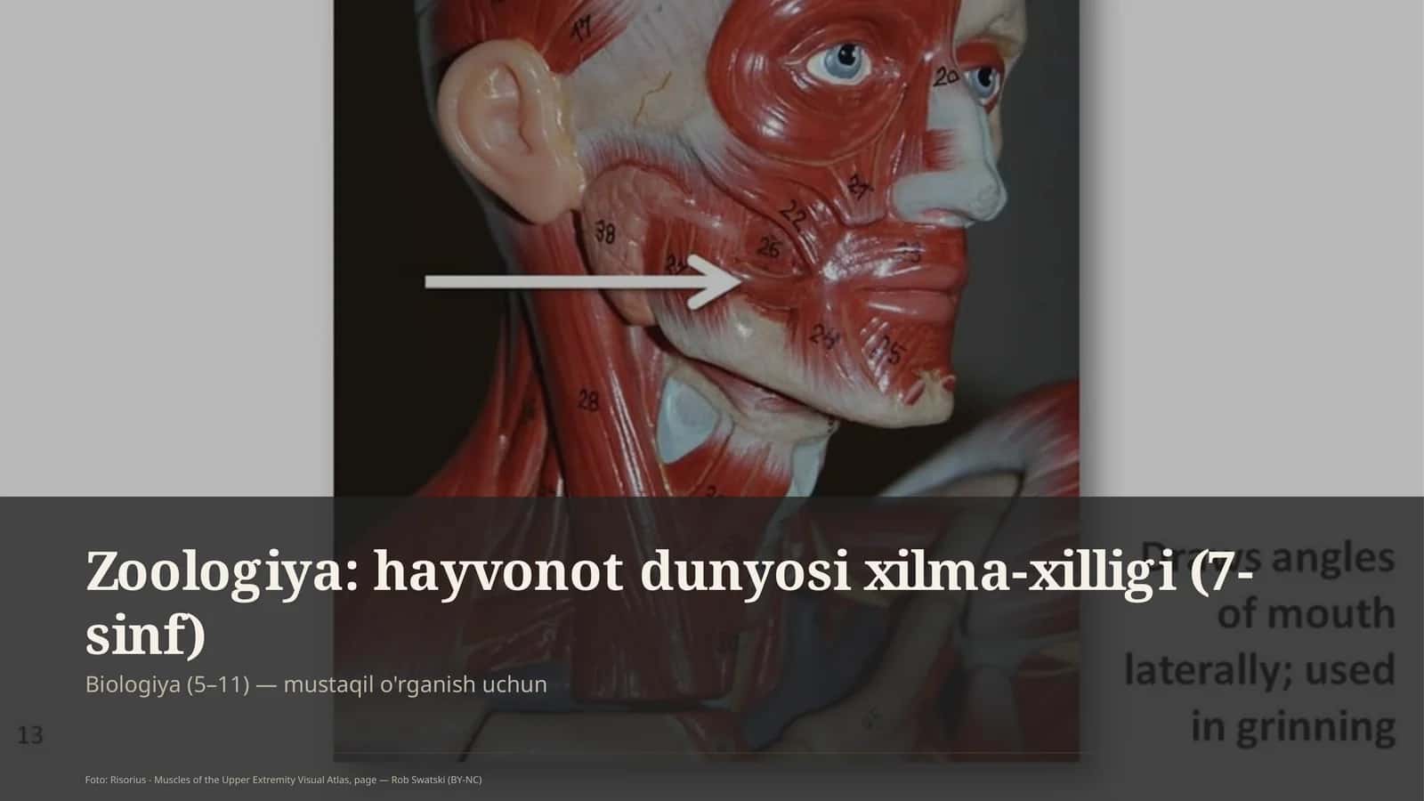 Zoologiya: hayvonot dunyosi xilma-xilligi (7-sinf) 1