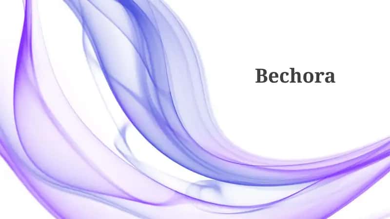 Bechora 1