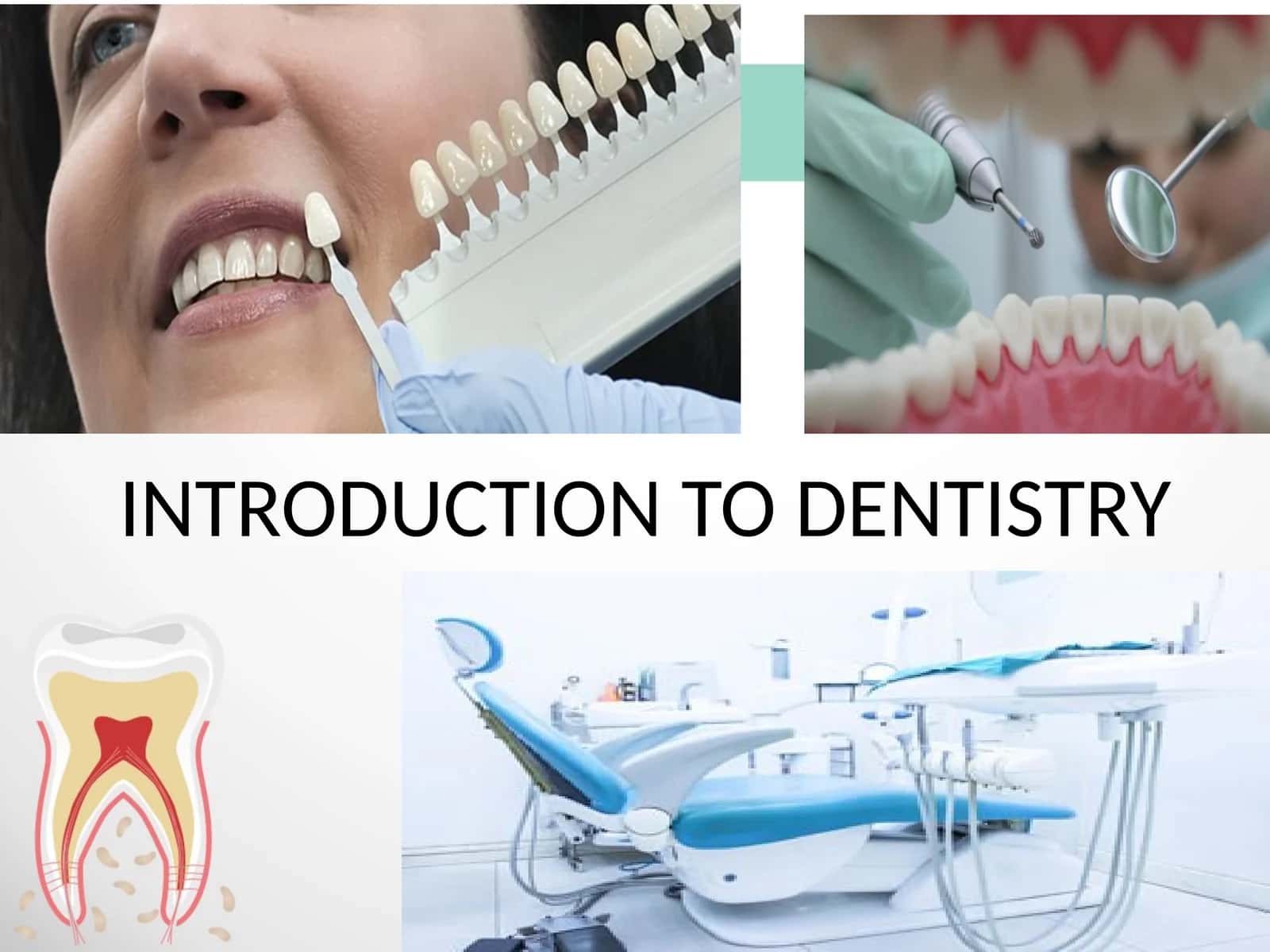 INTRODUCTION TO DENTISTRY 1