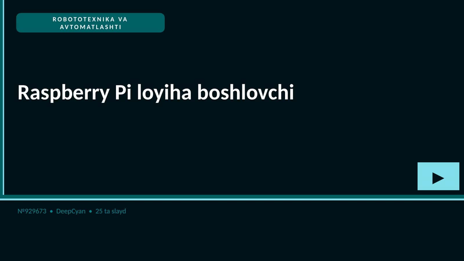Raspberry Pi loyiha boshlovchi 1