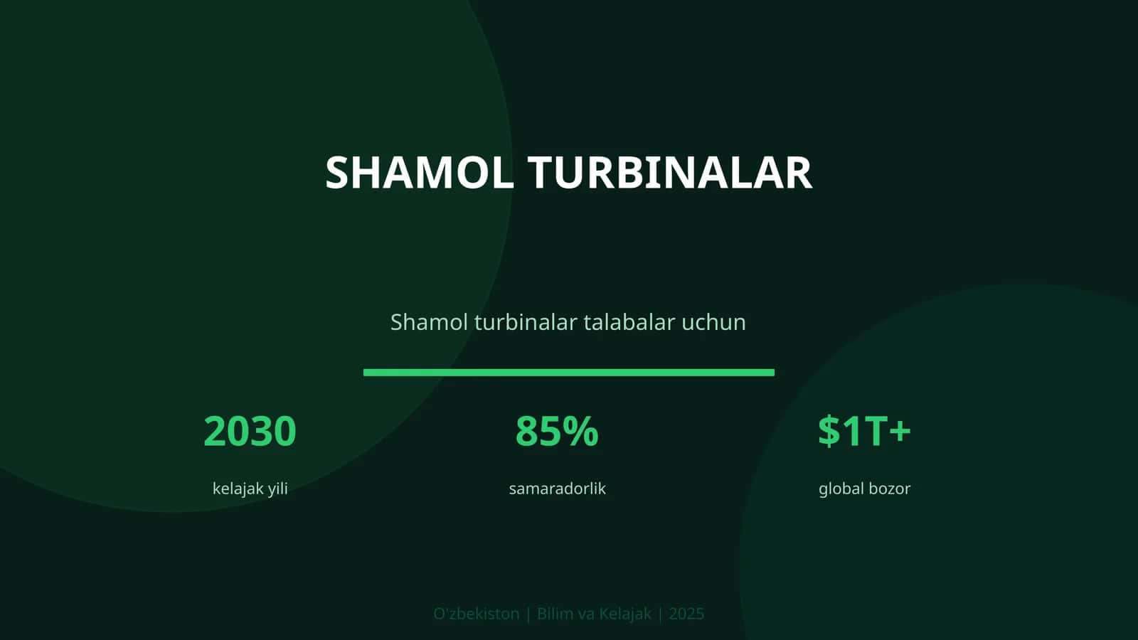 Shamol turbinalar 1