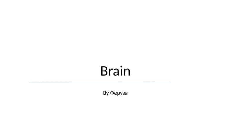 Brain 1