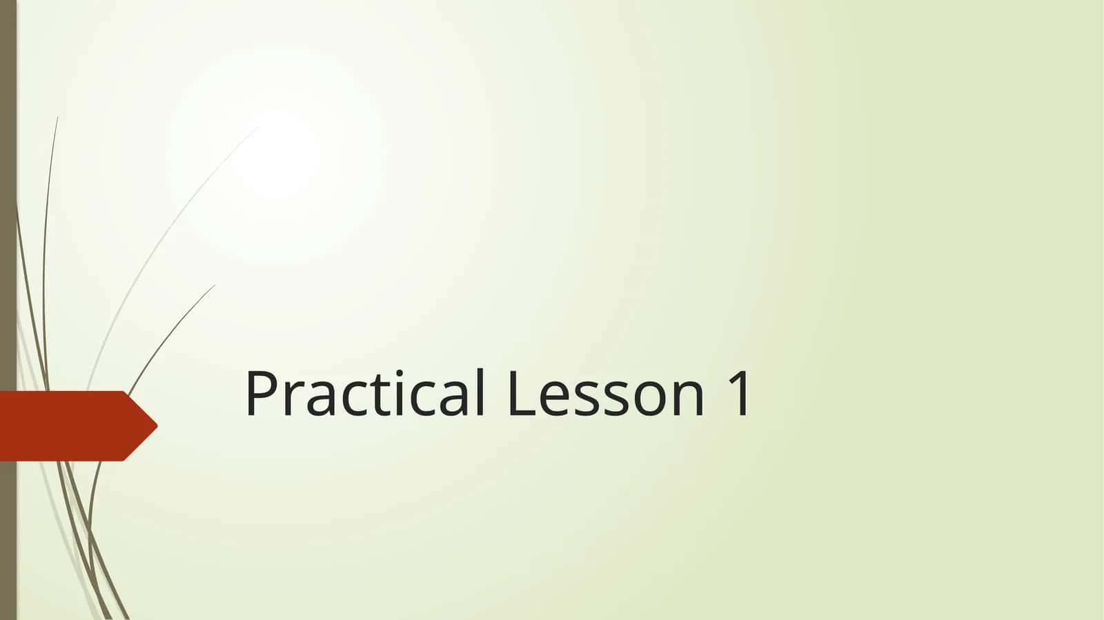 Practical Lesson 1 1