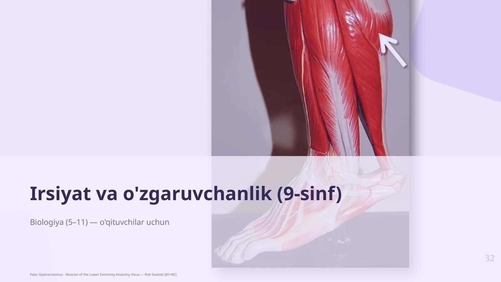 Biologiya (5–11) — o'qituvchilar uchun 1