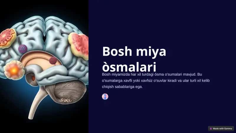 Bosh miya òsmalari 1