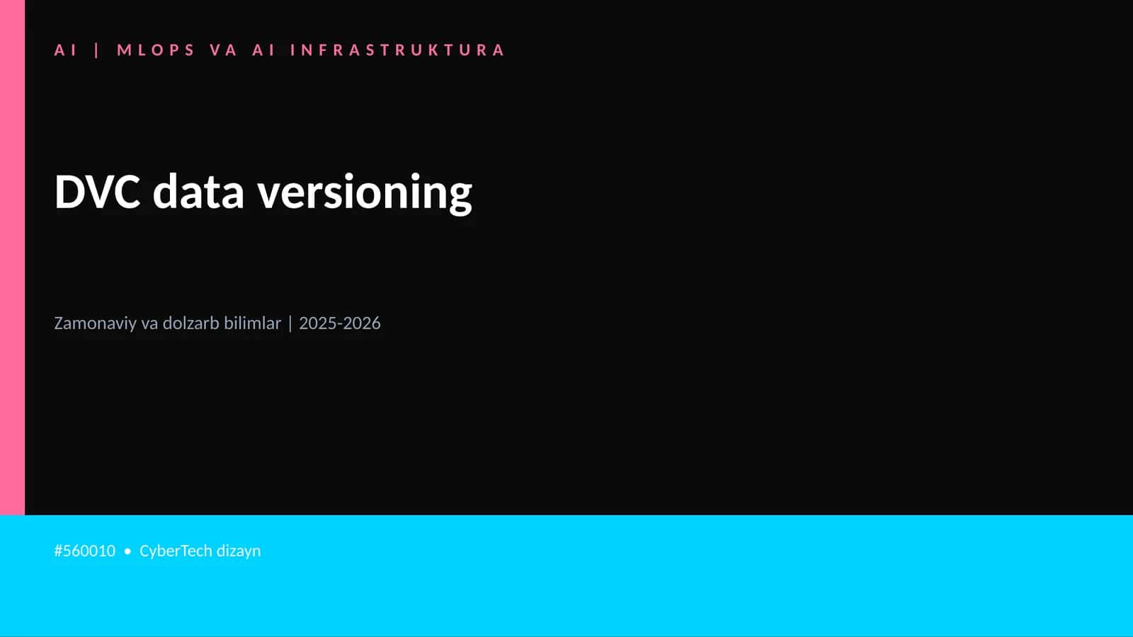 DVC data versioning 1