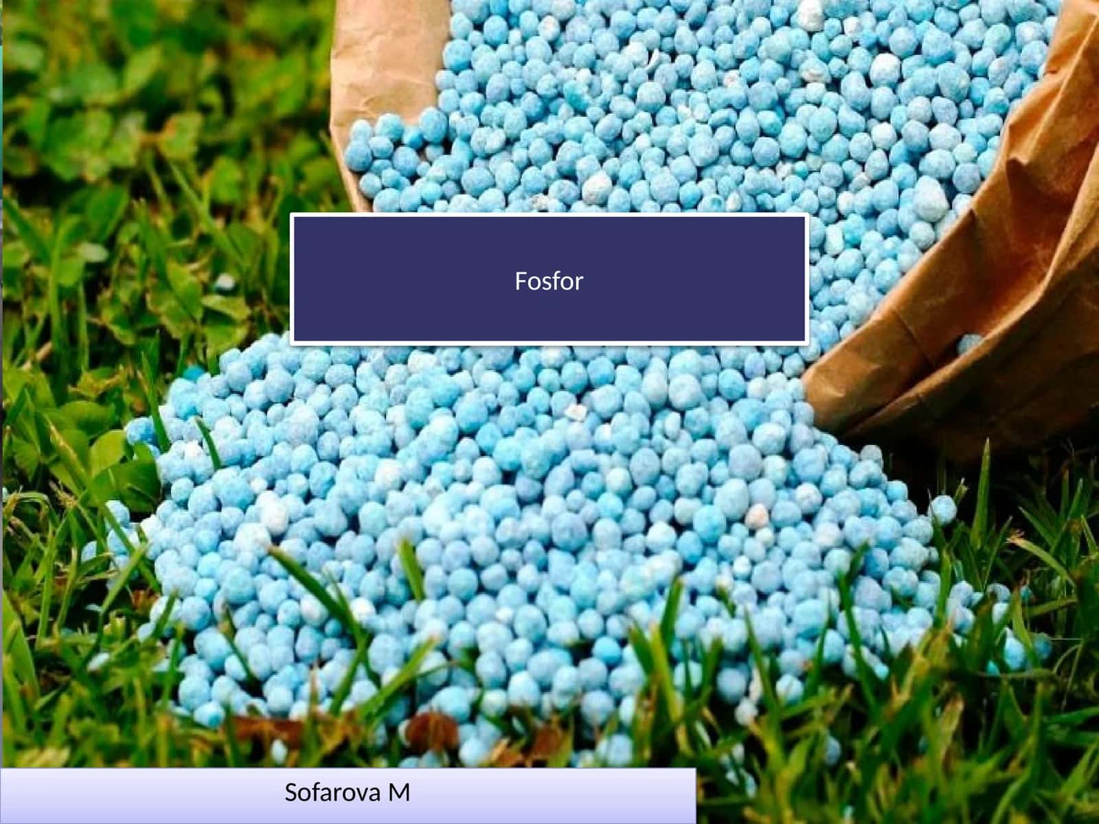 Fosfor 1