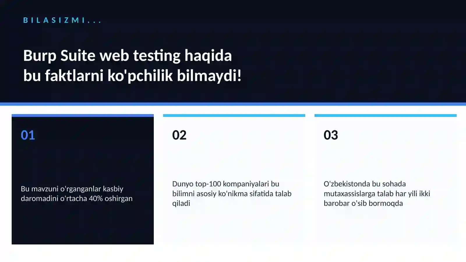 Burp Suite web testing 2