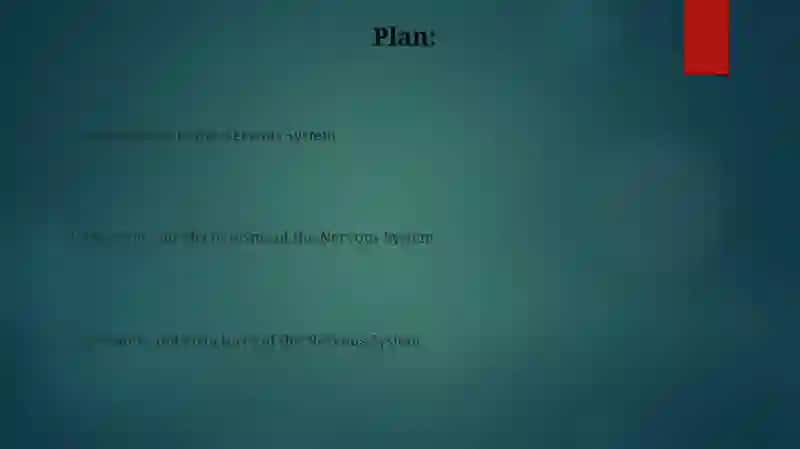 Nervous System 2