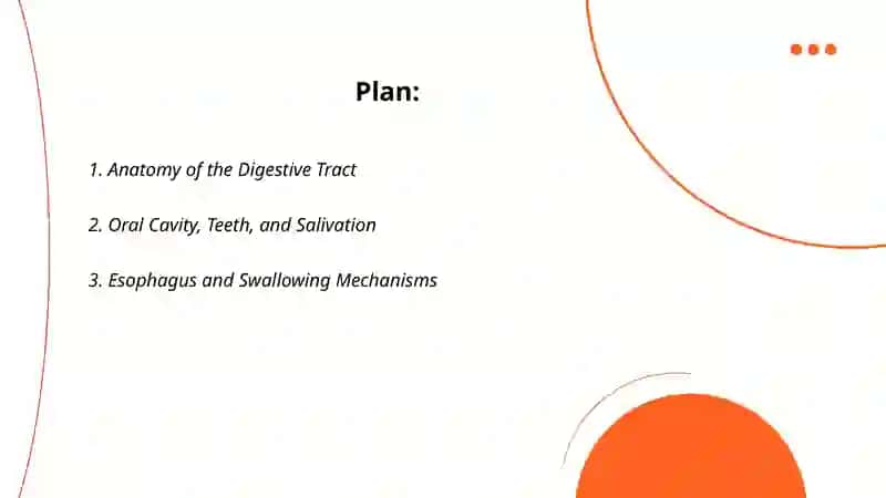 Digestive system 2