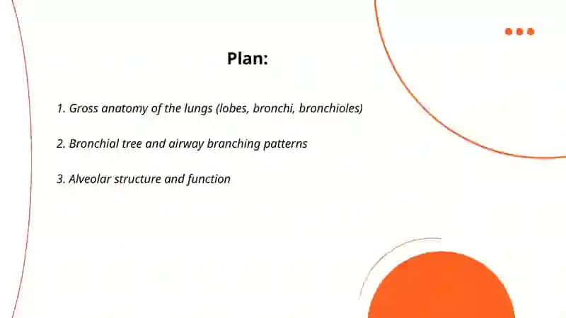 Lungs and their function 2