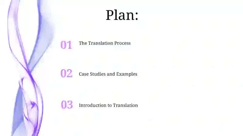 The Translation Process 2