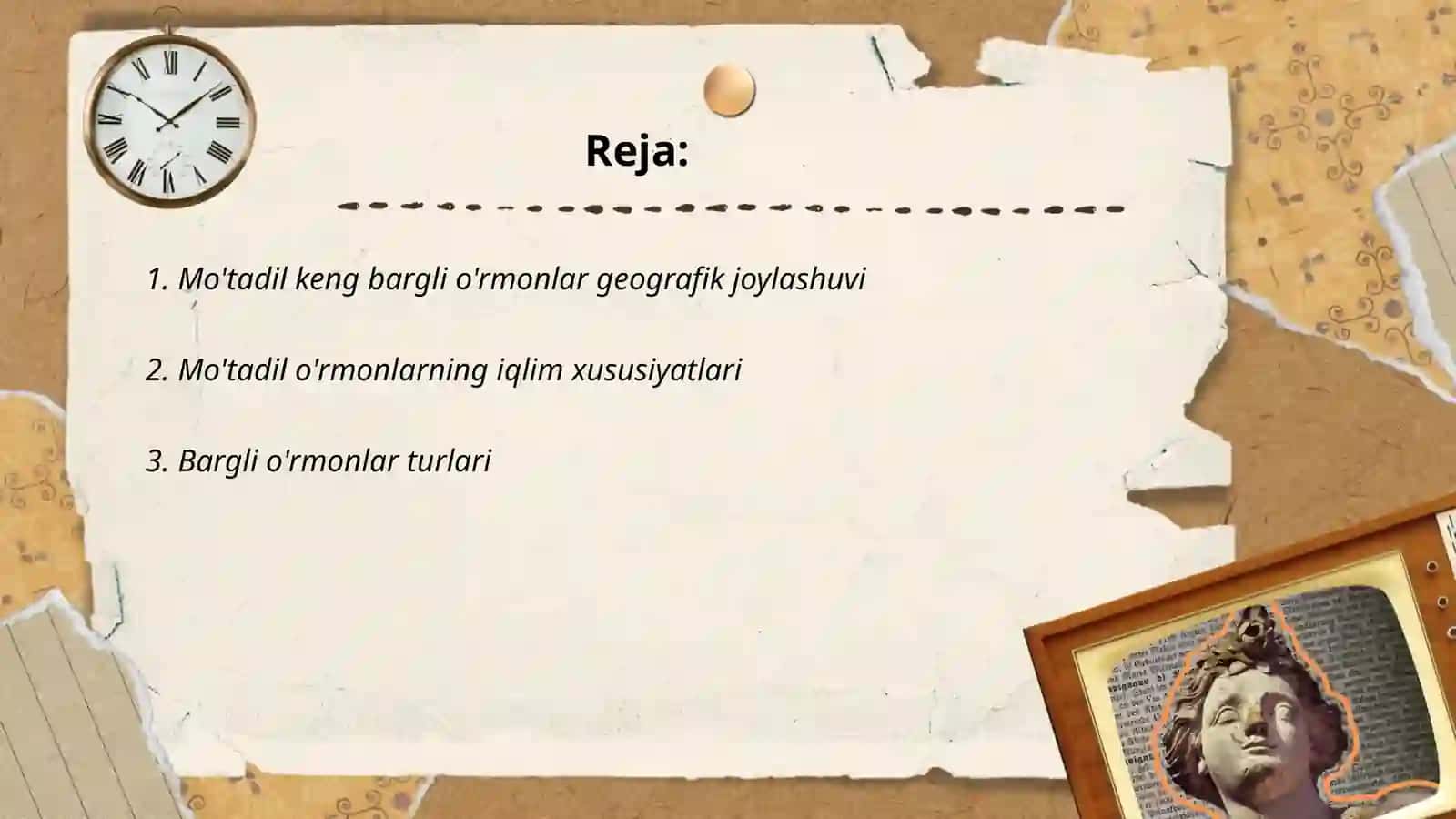 Mo'tadil keng bargli o'rmonlar biomlari 2