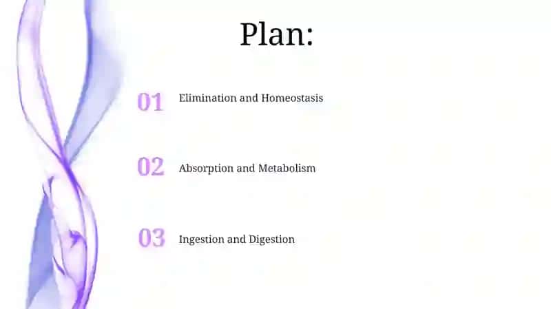 Digestive system 2