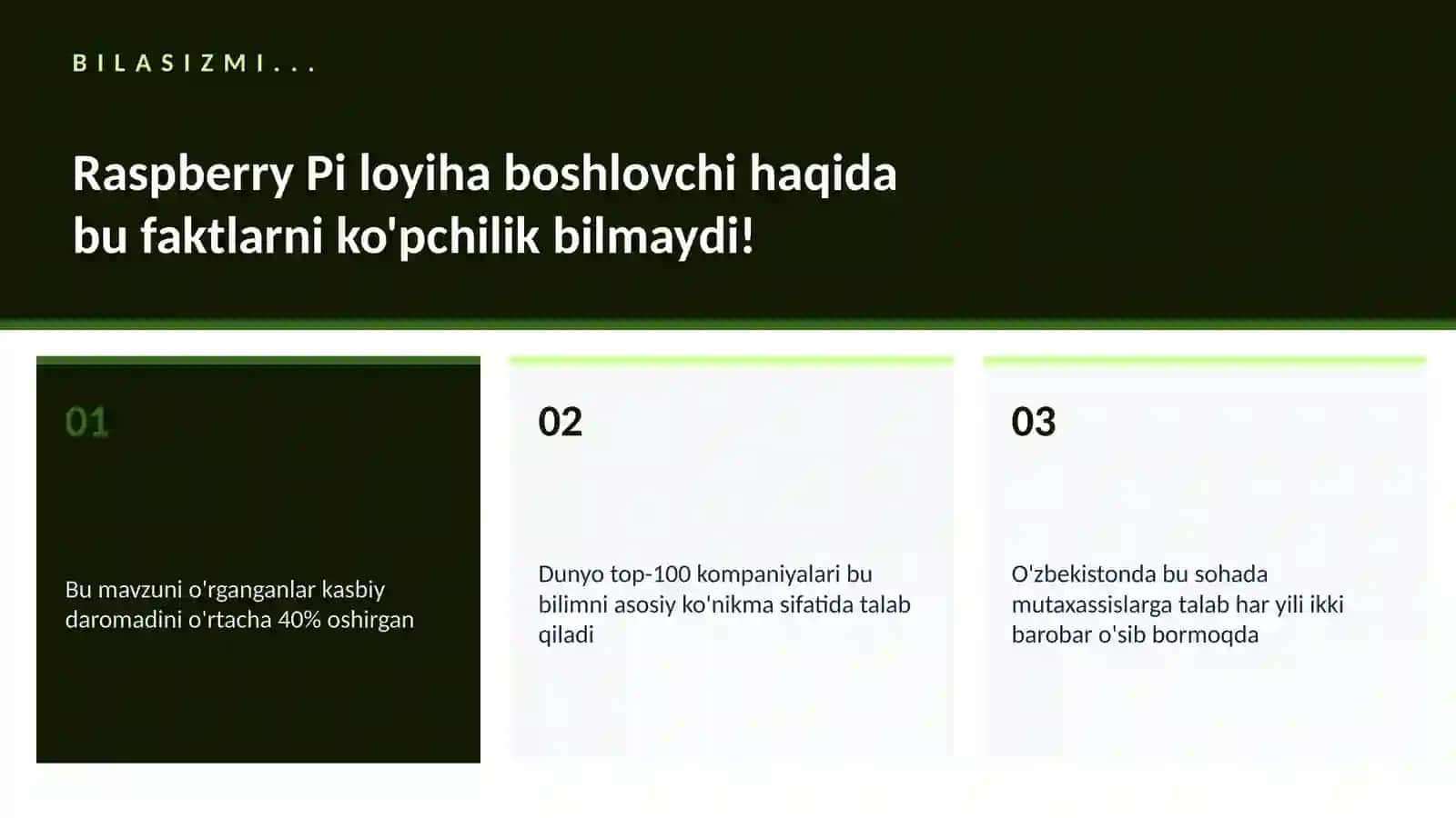 Raspberry Pi loyiha boshlovchi 2