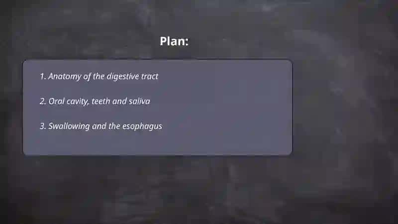 Digestion system 2