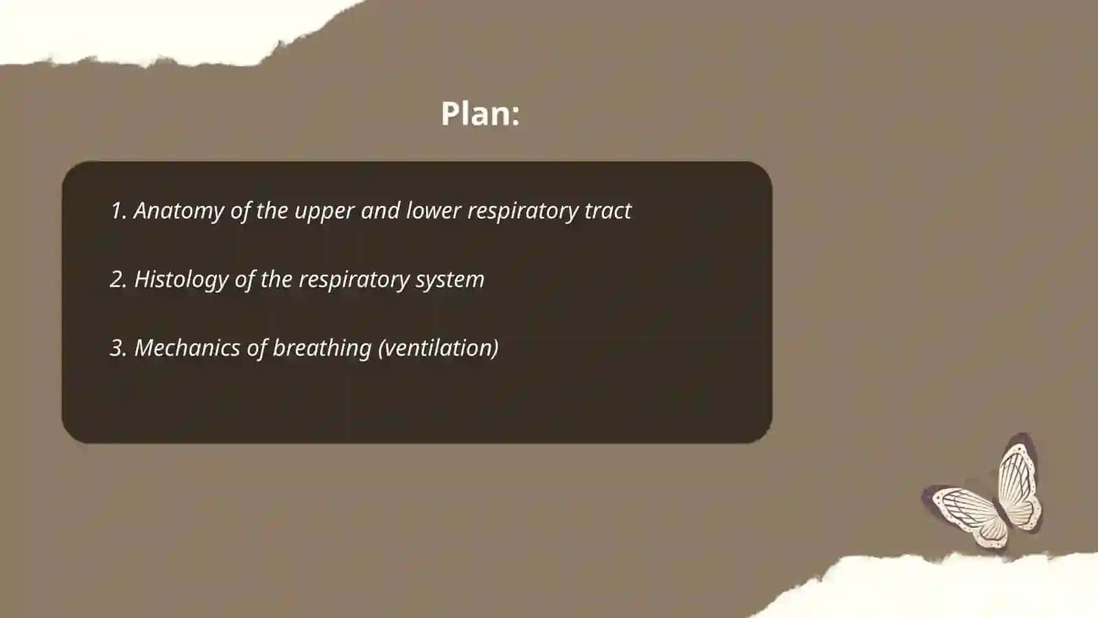 Respiratory system 2