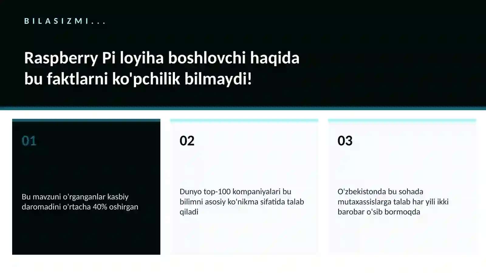 Raspberry Pi loyiha boshlovchi 2