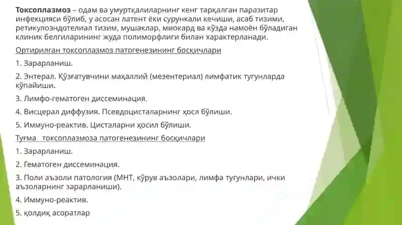 Токсоплазмоз 2