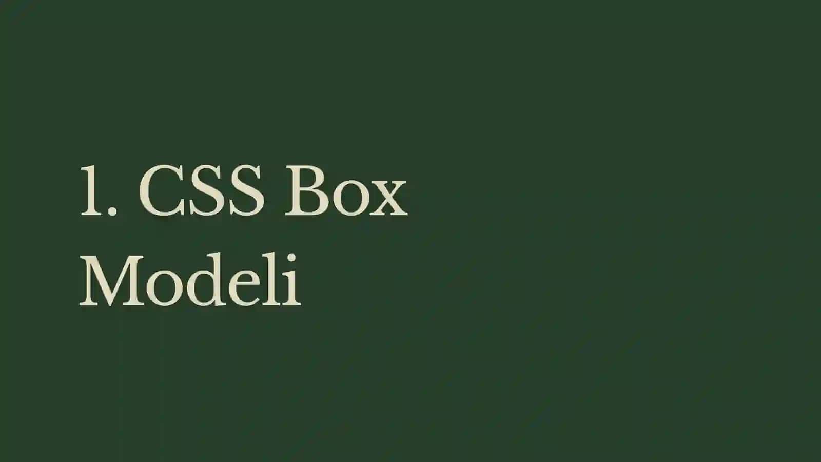 CSS Boxmodeli 3