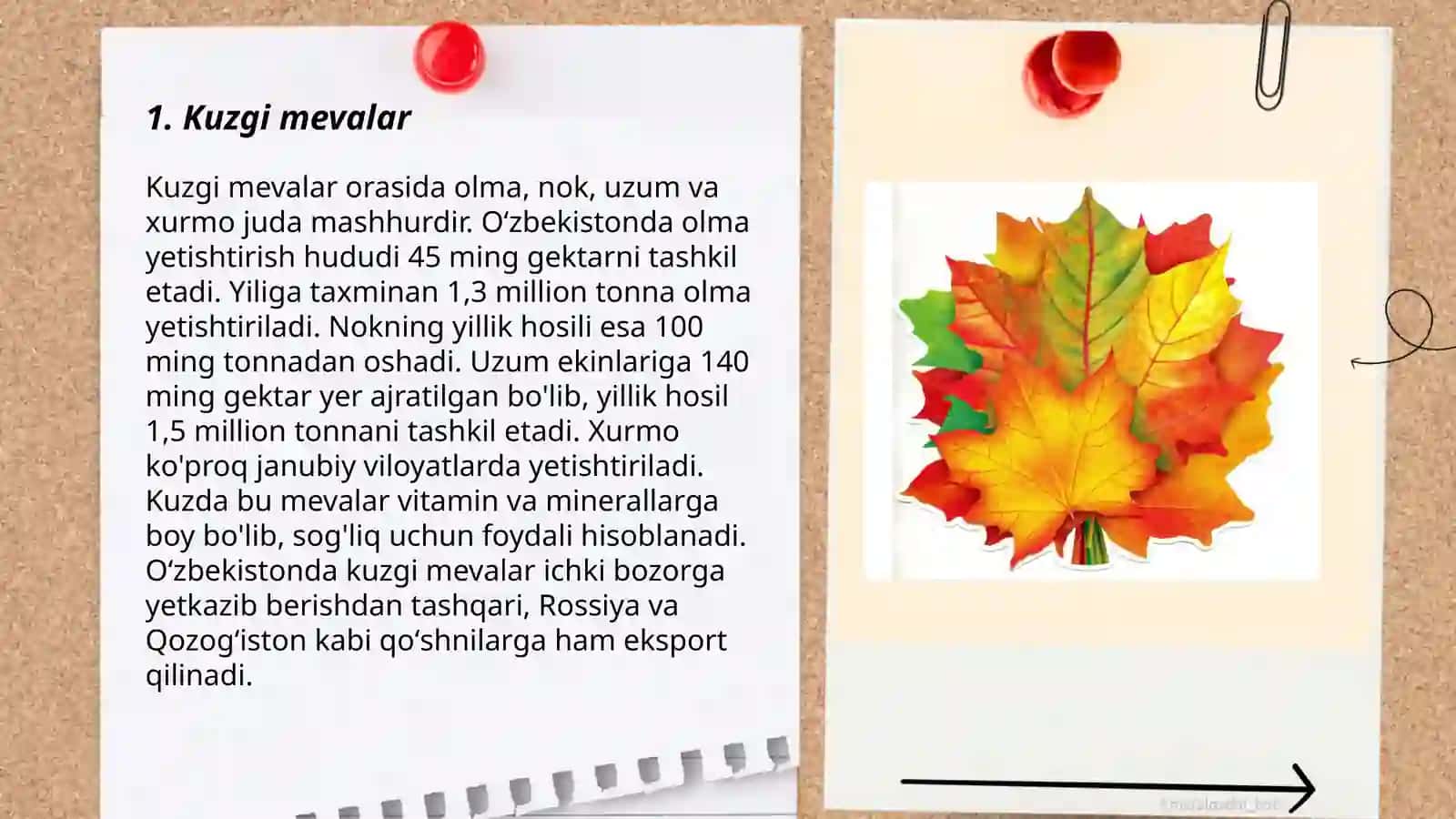 Kuzgi mevalar 3