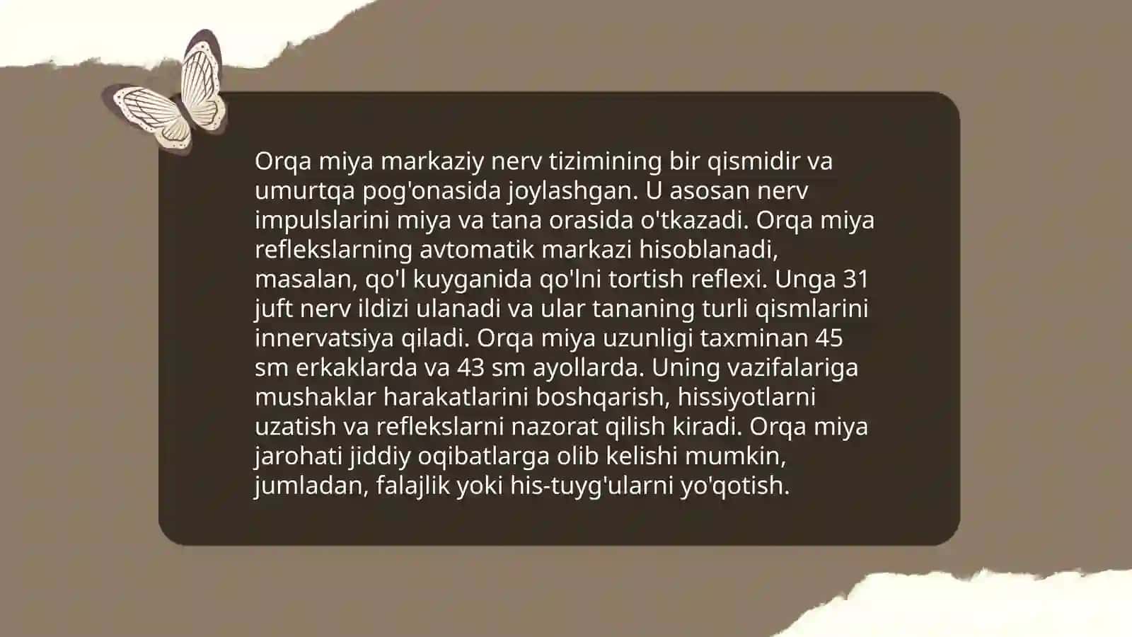 Orqa miya anatomiyasi 3