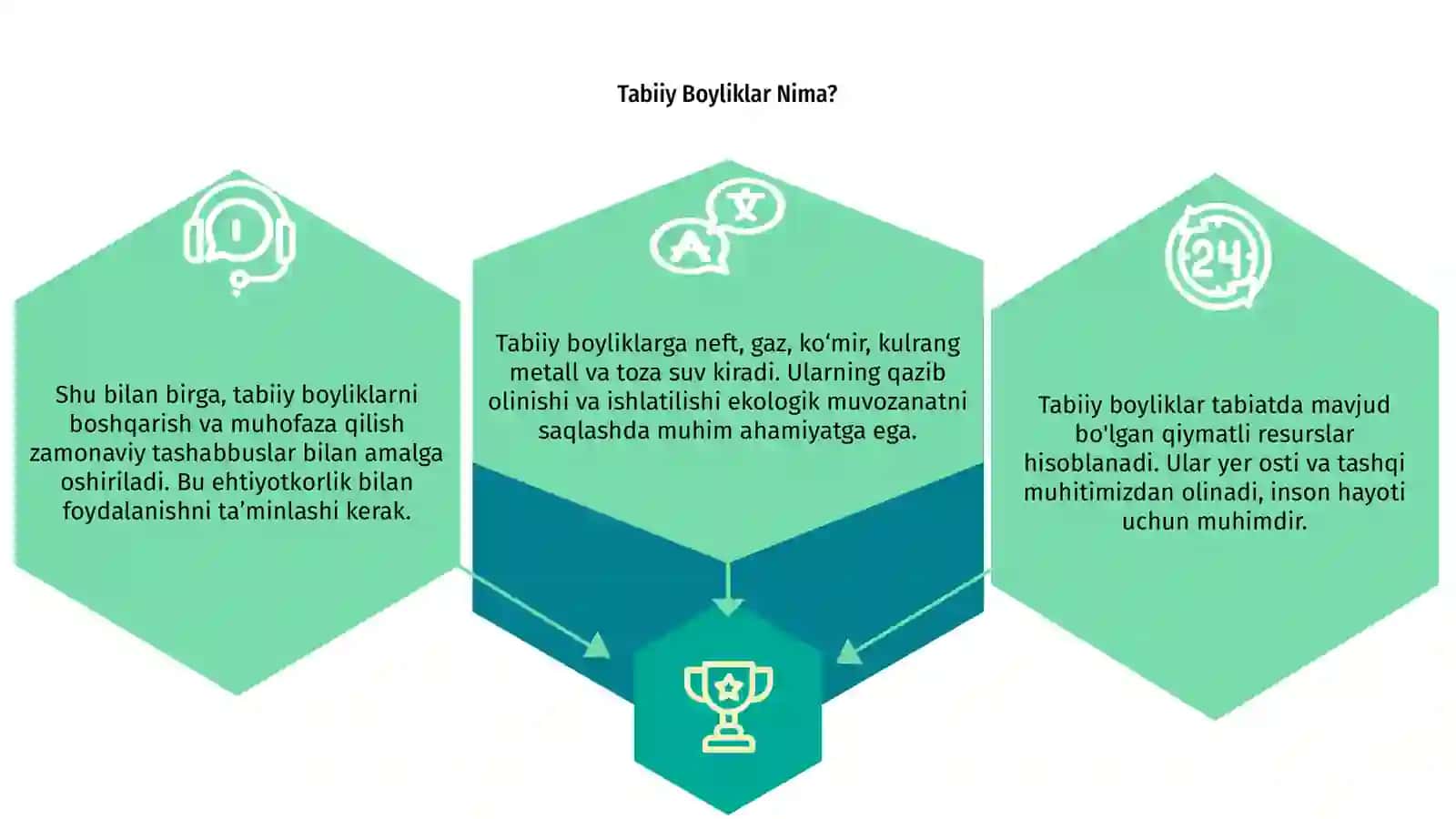 Tabiiy boyliklar 3