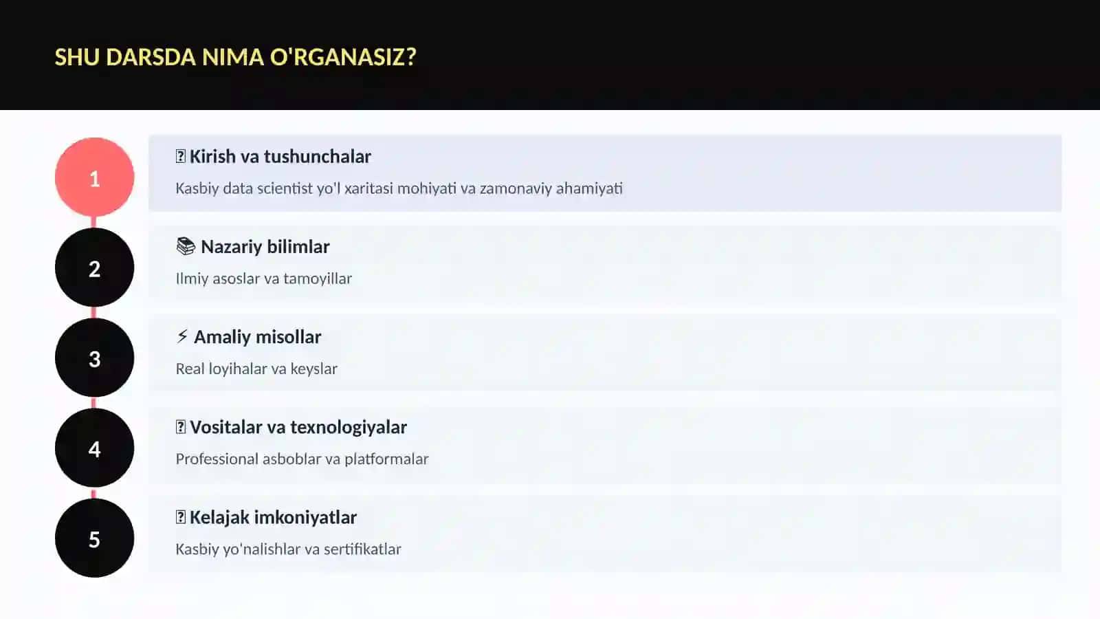 Kasbiy data scientist yo'l xaritasi 4