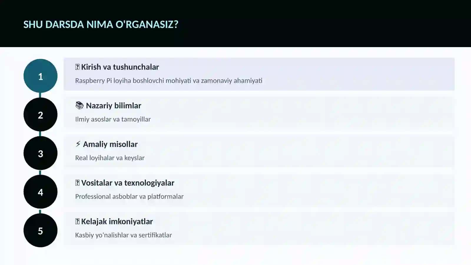 Raspberry Pi loyiha boshlovchi 4