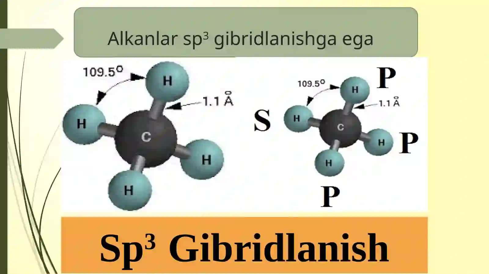 ALKANLAR 4