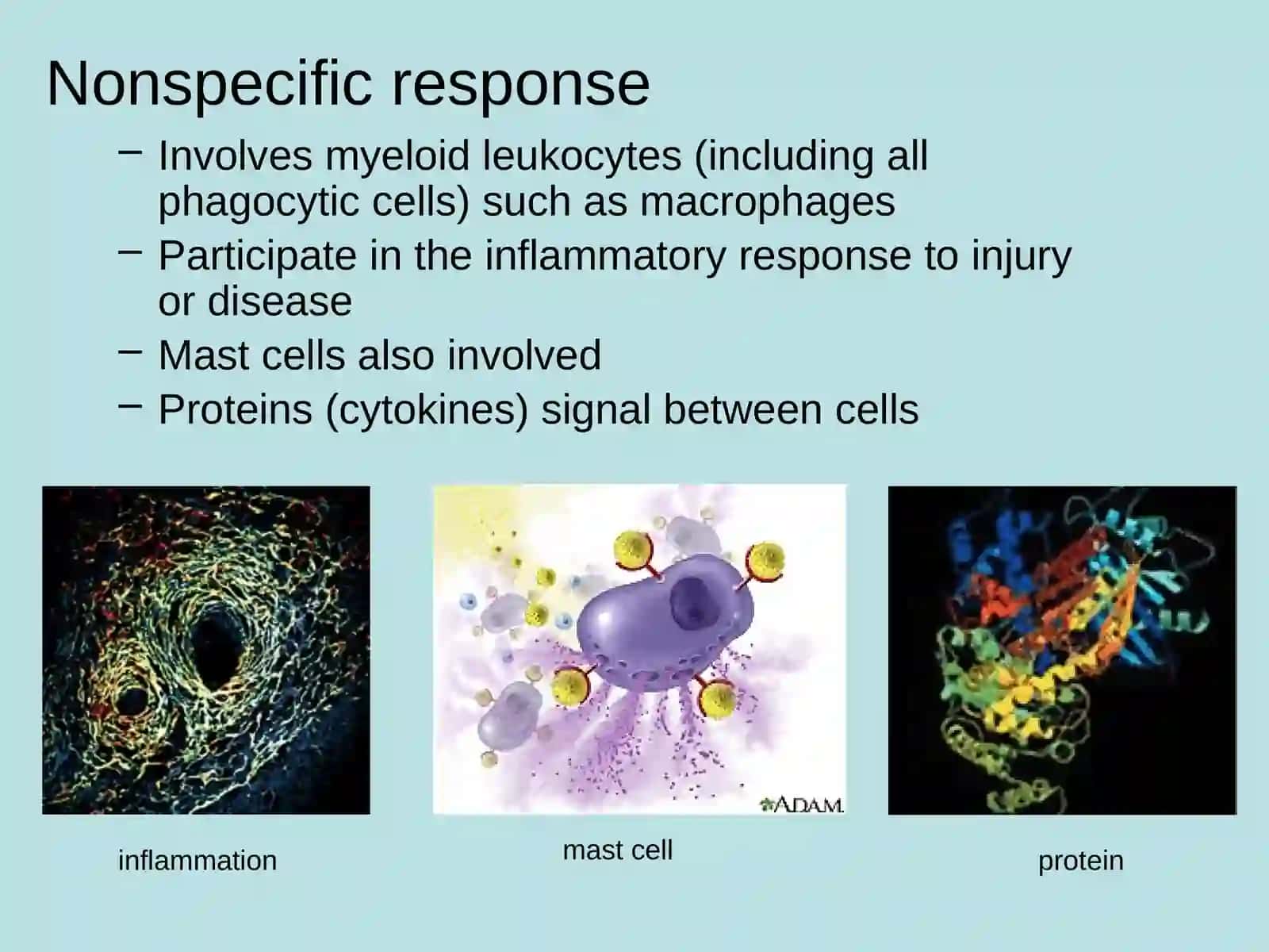 Basic Organization and Function of the Immune System 4
