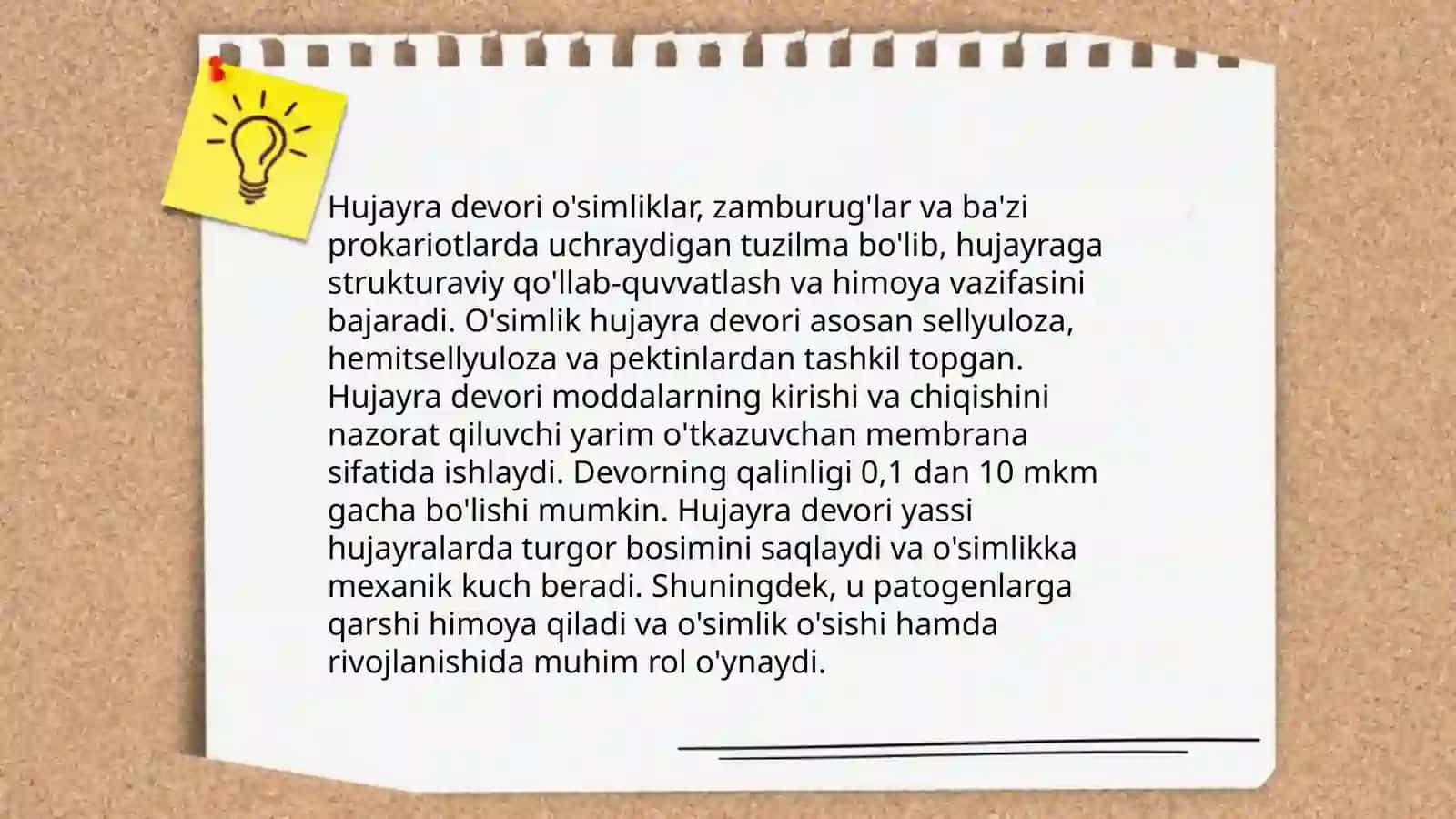 Oʻsimlik hujayrasining tuzilishi va ontogenez 4