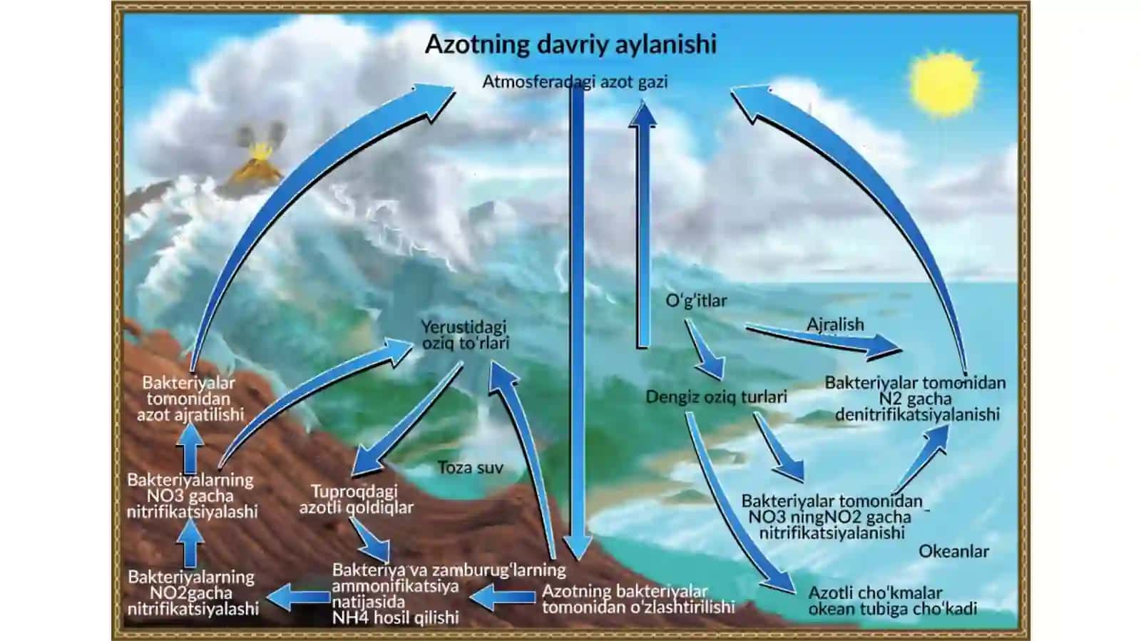 Ekotizimda elementlarning aylanishi 4