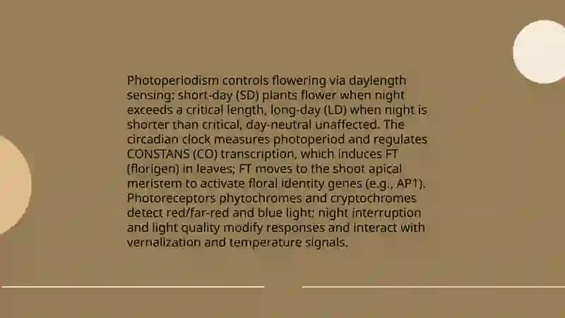 Abiotic and Biotic Factors Affecting Plant Growth and Development 4