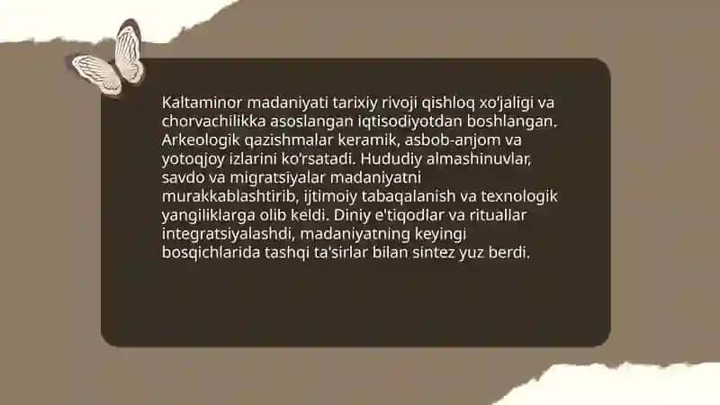 Kaltaminor madaniyati 4