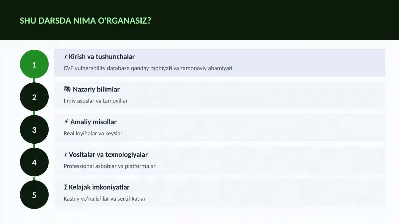 CVE vulnerability database qanday 4