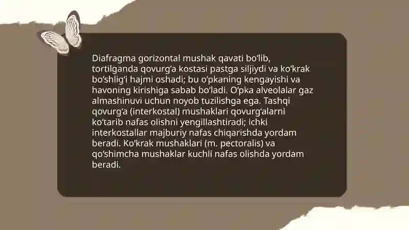 Nutq texnikasi asoslari: nafas olish va ovoz 4