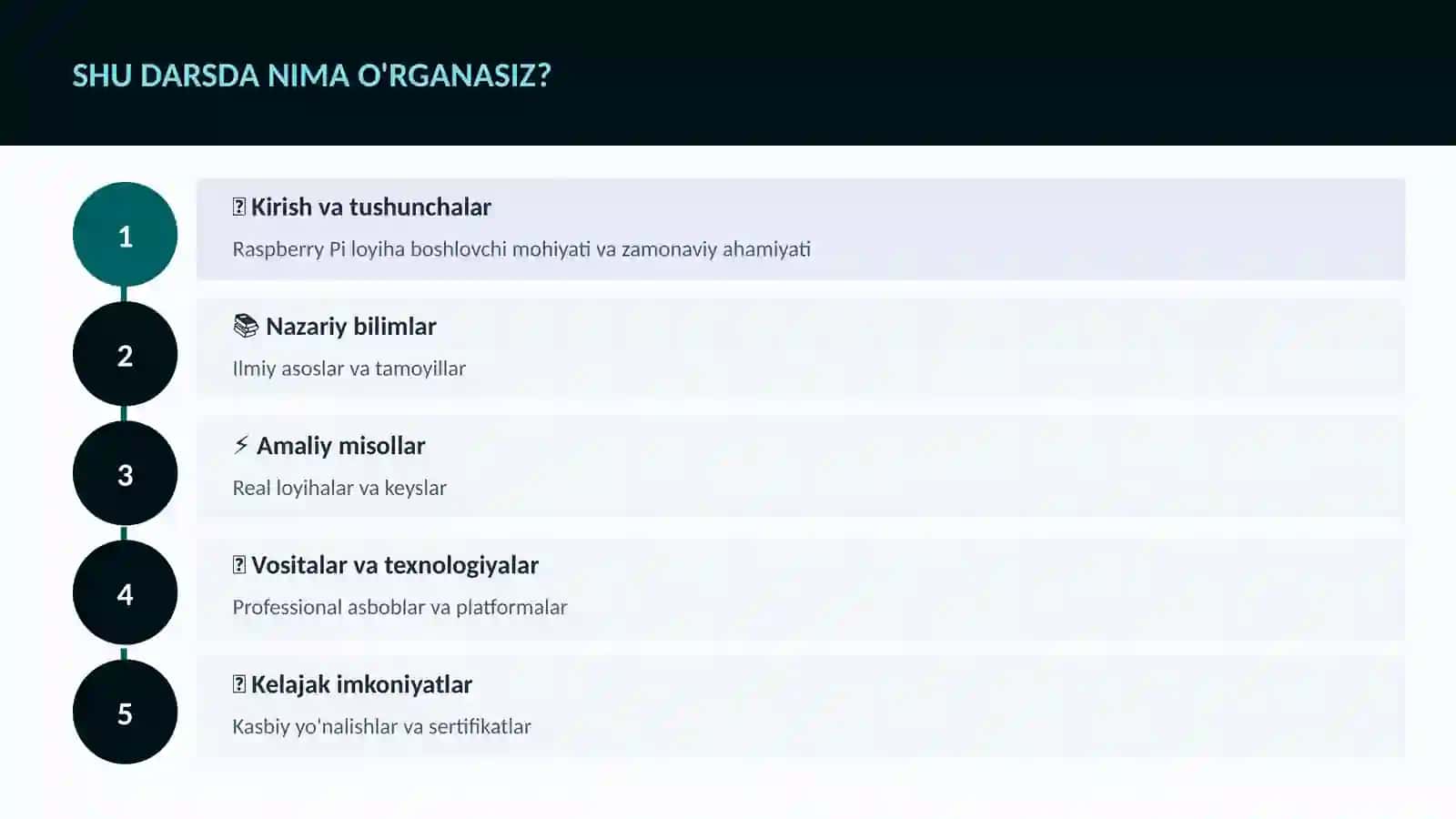 Raspberry Pi loyiha boshlovchi 4