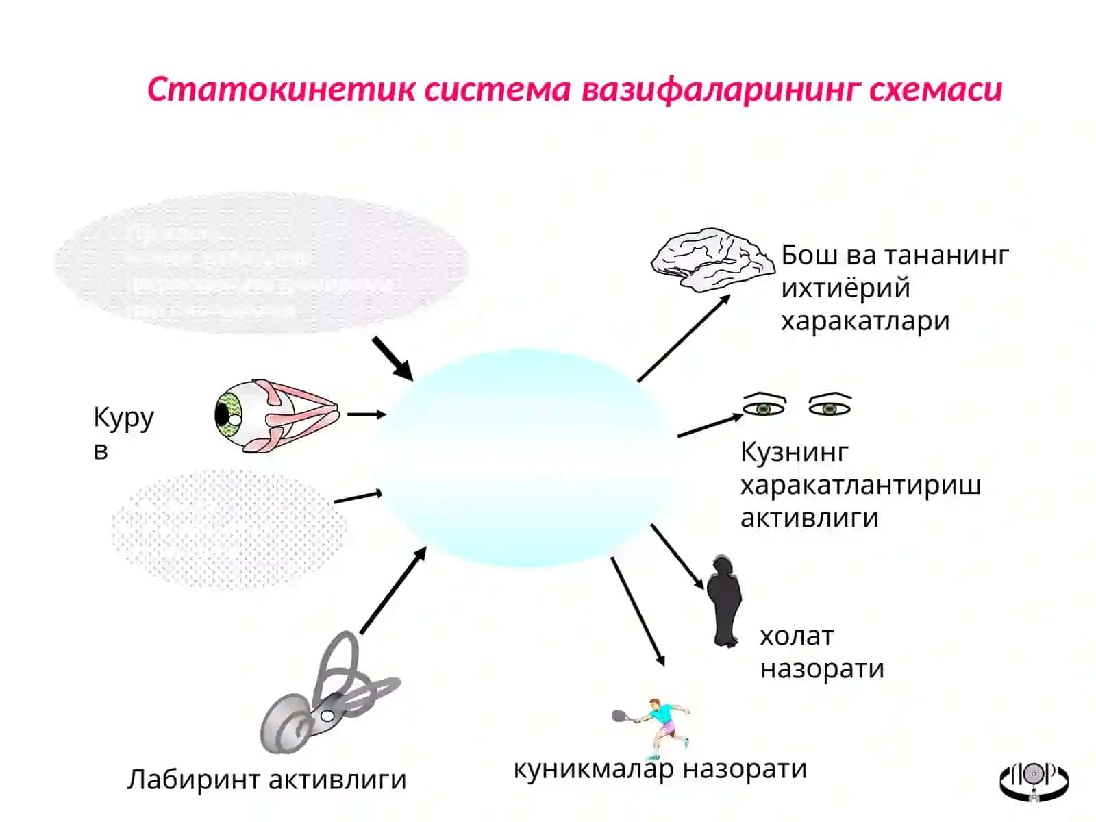 Вестибуляр 4